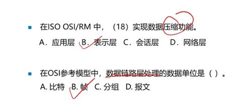 計(jì)算機(jī)網(wǎng)絡(luò)體系架構(gòu)在網(wǎng)絡(luò)工程師成長(zhǎng)之路中的核心地位與實(shí)踐探索